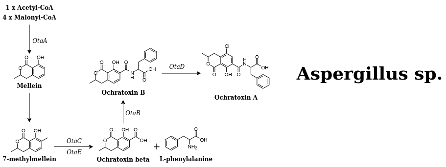 ochratoxins pathway